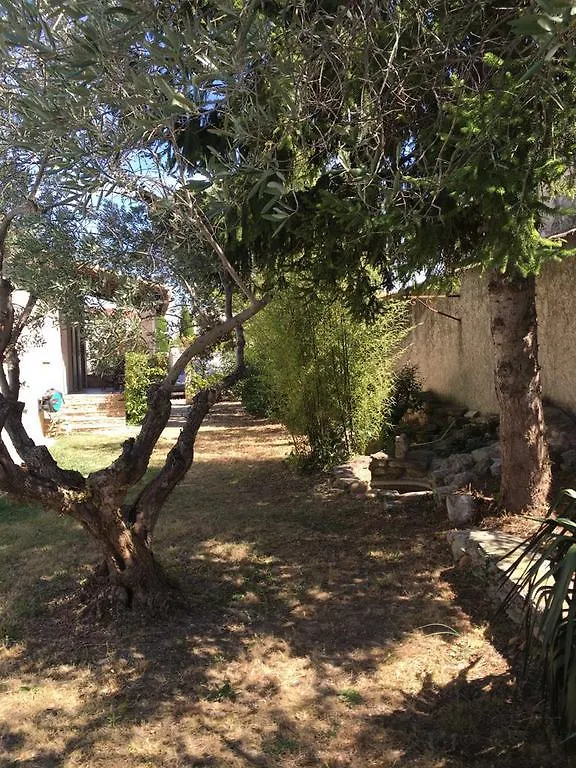 Villa Des Carassins Saint-Remy-de-Provence